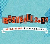 「【RUSH BALL】 サカナクション、Czecho No Republic、QUATTROの出演を発表」1枚目/4