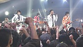 「NHK『SONGS』に復活のウルフルズ登場、熱狂ライブに「感無量、感無量です」」1枚目/3