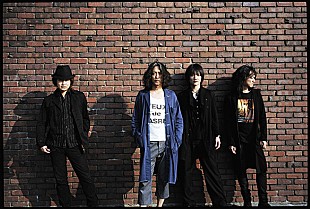 「ZIGZO デビュー15周年の節目のALリリース決定」