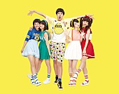 「けみお＆アミーガチュ」14枚目/19