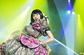 「映画『日々ロック』ヒロイン演じる二階堂ふみのアイドルっぷりと凶暴ロッカーっぷりに要注目」1枚目/2