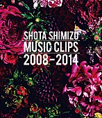 「ビデオクリップ集『SHOTA SHIMIZU MUSIC CLIPS 2008-2014』　Blu-ray」8枚目/9