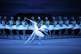 「世界のバレエダンサーの脚を守る、バレエ床購入プロジェクトがスタート」