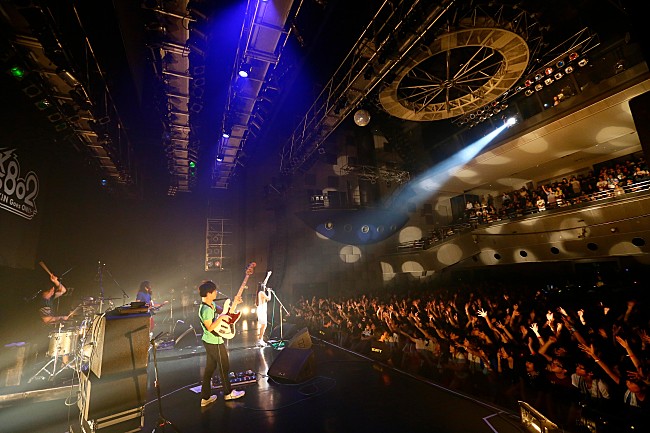 「ハスピエ」7枚目/18