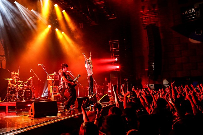 「ザ・ビートモーターズ」2枚目/15