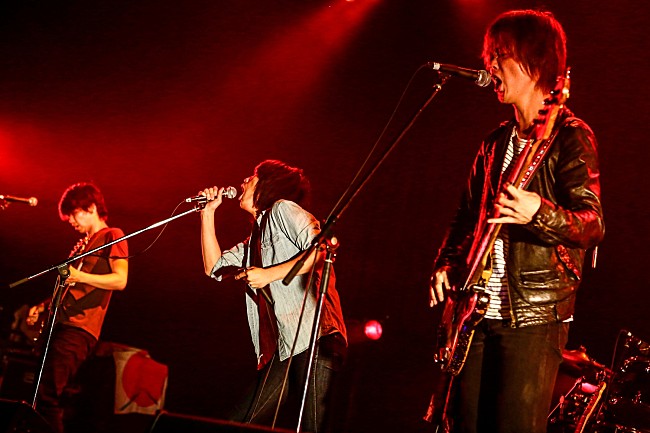 「ザ・ビートモーターズ」3枚目/15