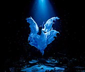 「Aimer　アルバム『誰か、海を。 EP』　通常盤」3枚目/6