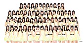 「NMB48」3枚目/4