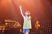 「川嶋あい 12度目の渋公ライブ成功＆24時間テレビ出演決定」1枚目/2