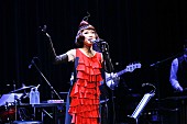 「野宮真貴、“渋谷系スペシャルライブ”の予約者にニューアルバムからの音源1曲をプレゼント」1枚目/1