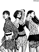 「Perfume EDM老舗レーベルより全米ALデビュー「絶対後悔しないはず！」」1枚目/1