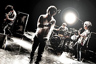 「THE BACK HORN 豪華3大特典付きライブDVD発売決定」