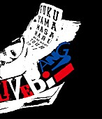 「映像作品『WE&amp;#039;RE BROS. TOUR 2011 THE LIVE BANG!!』」8枚目/12