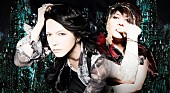 「VAMPS」2枚目/19