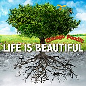 「アルバム『Life is Beautiful』」2枚目/2