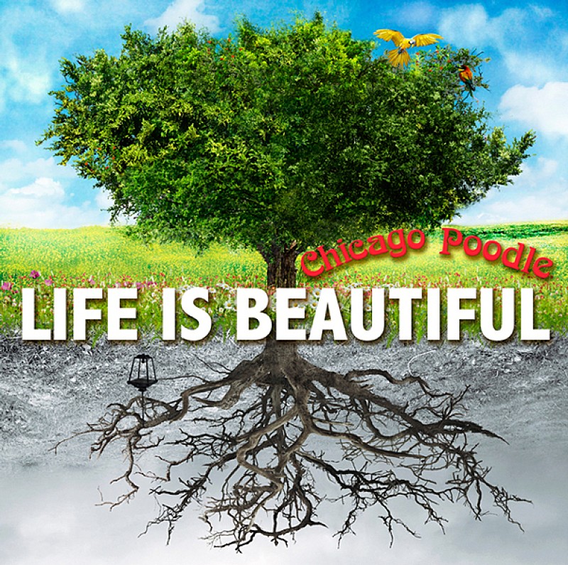 「アルバム『Life is Beautiful』」2枚目/2