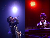 「Hilcrhyme クリスマスイブに夢の初武道館ライブをDVD化」1枚目/1