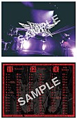 「BABYMETAL x TOWER RECORDS 新宿店 BABYMETAL 聖誕祭記念「カレンダーカード」」2枚目/4