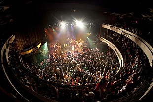 「EGO-WRAPPIN' 年末恒例ライブ今年も開催」