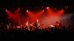 「yui擁するFLOWER FLOWER 初アルバムから特典映像先出し」