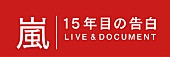 「嵐 NHK特番でハワイ公演密着＆“15年目の告白”「正直嵐をやめようと思ったことが…」」1枚目/1