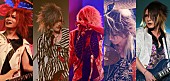 「ダウト 全身全霊のオリジナルメンバー5人でのラストライブDVD化」1枚目/3