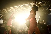 「【スペシャ列伝】121回目はPOLYSICS、髭、Kidori Kidori、SISTER JETら個性派バンドに新宿大熱狂」1枚目/40