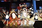 「【第4回AKB48紅白対抗歌合戦】の模様」19枚目/53