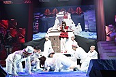「【第4回AKB48紅白対抗歌合戦】の模様」21枚目/53