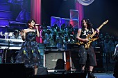 「【第4回AKB48紅白対抗歌合戦】の模様」33枚目/53