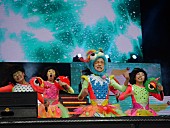 「TEMPURA KIDZ フィリピンでカウントダウン ファレル「HAPPY」大合唱も」1枚目/20