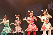 「武田鉄矢プロデュースアイドル 赤マルダッシュ☆が2015年の飛躍を狙う痛快アクト」1枚目/38