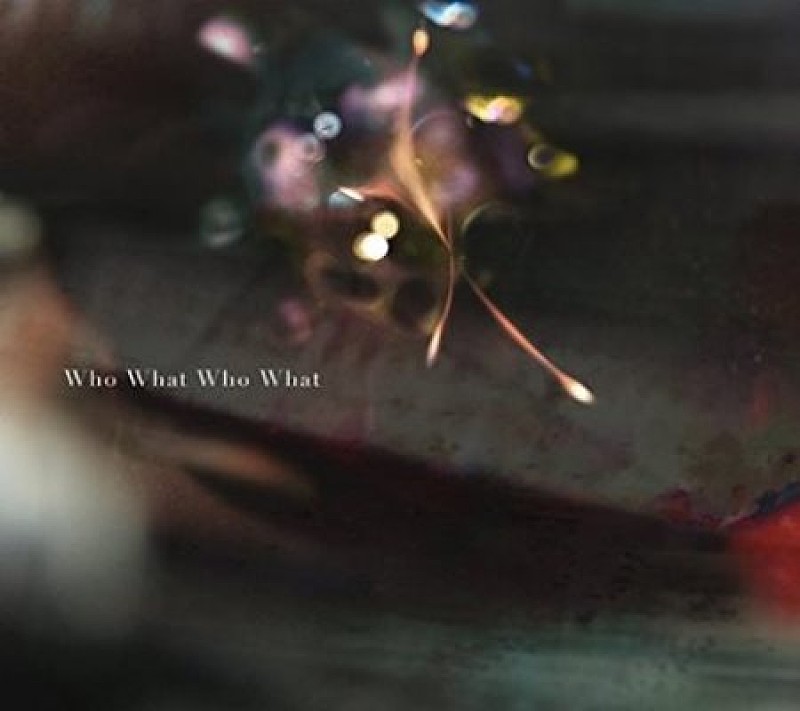 「シングル『Who What Who What』ジャケット」2枚目/3