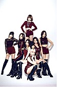 「セクシーキャットエンジェル“AOA”新作『Like a Cat』予約握手会決定」1枚目/3