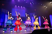 「1月9日（金）【俺のしゃちほこライブ】」4枚目/16
