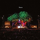 「SEKAI NO OWARI『Tree』から紐解く　国民的バンドに成長しつつあるポップ・バンドの音楽的な成り立ちと魅力とは？」1枚目/1