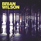 「 ブライアン・ウィルソン fun.のネイト、シー＆ヒムら参加の最新スタジオ・アルバムを4月に日本リリース」1枚目/1