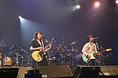 「飲酒運転撲滅を誓う“LIVE SDD 2015”大阪城ライブレポート」1枚目/15
