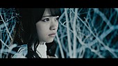 「乃木坂46 11thシングル『命は美しい』華麗なダンスMV公開」1枚目/8