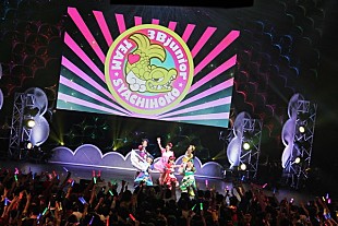 「チームしゃちほこ【ZIP！　春フェス】レポート 新曲「天才バカボン」を初パフォーマンス披露し、桝アナとダンスも」