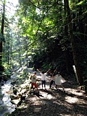 「神聖かまってちゃん、CDデビュー5周年記念ベスト盤＆対バンツアーが決定　初回盤には未だ謎の豪華アーティスト・フィーチャリング盤も」1枚目/1