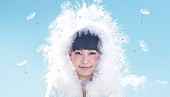 「miwa、『オールナイトニッポン』一夜限りの復活決定」1枚目/3