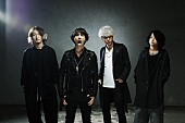 「ONE OK ROCK、5月からの全国ツアー全22公演のサポートゲスト、WHITE ASH、ねごと、OKAMOTO’Sら」1枚目/2