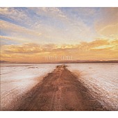 「Album Review： ペロタ・チンゴー さらなる可能性を秘める、アルゼンチン音楽界の新星による初の作品集」1枚目/1