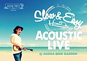 「平井 大 アロハ・ビアガーデン各店にてアコースティックライブ開催」1枚目/1