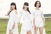 「Perfume 特製プレゼント付きファン参加型“My room”企画スタート」1枚目/4