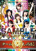 「チームしゃちほこ 5/27リリース『鯱詣2015』映像作品のジャケ写＆プロレスカードデザイン解禁、ライブ映像も公開」1枚目/3