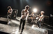 「THE BACK HORN ニコ生で12時間特別番組決定 渋公スペシャルライブの生中継も」1枚目/1