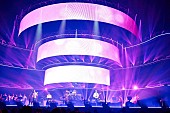 「CNBLUE、【SPRING LIVE 2015 「WHITE」】超満員のステージ3公演で約3.5万人を動員」1枚目/1