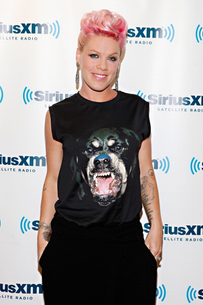 「娘をピンクのコンサートに連れて行った元妻を訴えた父親敗訴 判事「母親との初めてのコンサートは素晴らしい時を過ごした事実」」1枚目/1